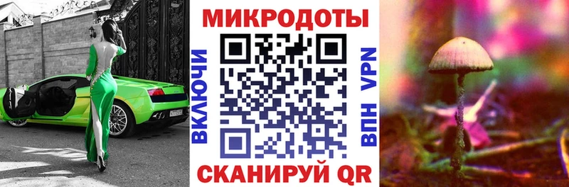 Купить где  Ипатово  Псилоцибиновые грибы MAGIC MUSHROOMS 